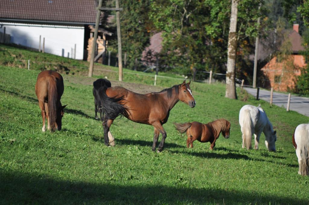 Ferienhotel Gut Enghagen Rossleithen Exteriér fotografie